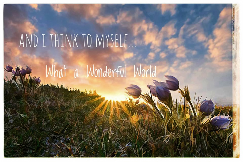 Wonderful World by Marlene Smith